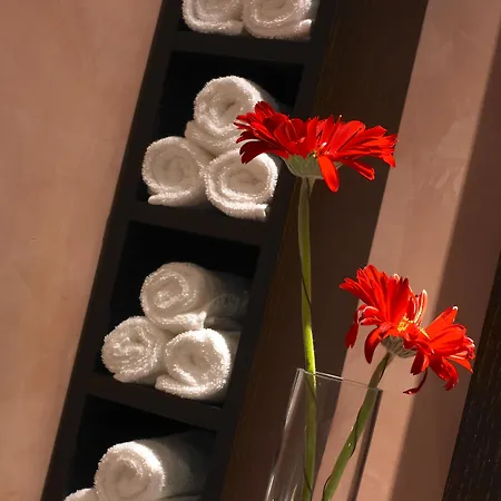 Gale Collection (adults Only) Hotel 4*