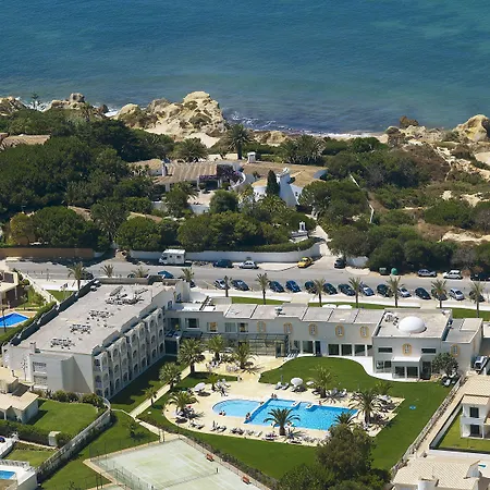 Gale Collection (adults Only)