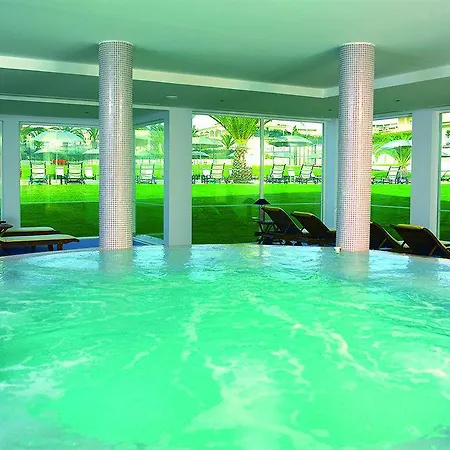 Gale Collection (adults Only)