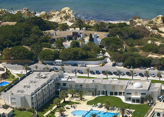 Gale Collection (adults Only)