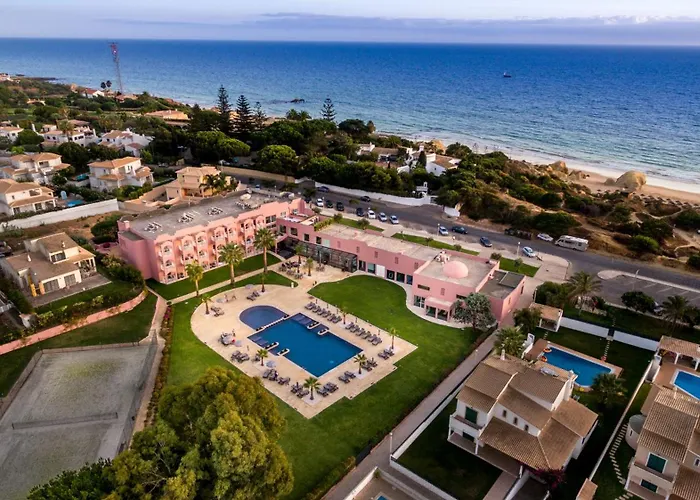 Gale Collection (adults Only)